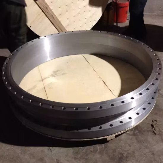 ANSI B16.5/ASTM A105 DIN/GOST/BS Carbon Steel/ Q235 / Stainless Steel FF RF Wn/So/Threaded/Plate/Socket Forged Flange