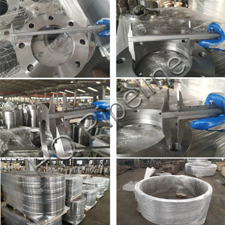 ANSI/DIN/En1092-1 Forged Carbon/Stainless Steel Pn10/16 Welding Neck/Blind/Slip on/Lap Joint/Flat Plate/Socket RF/FF Pipe Flanges