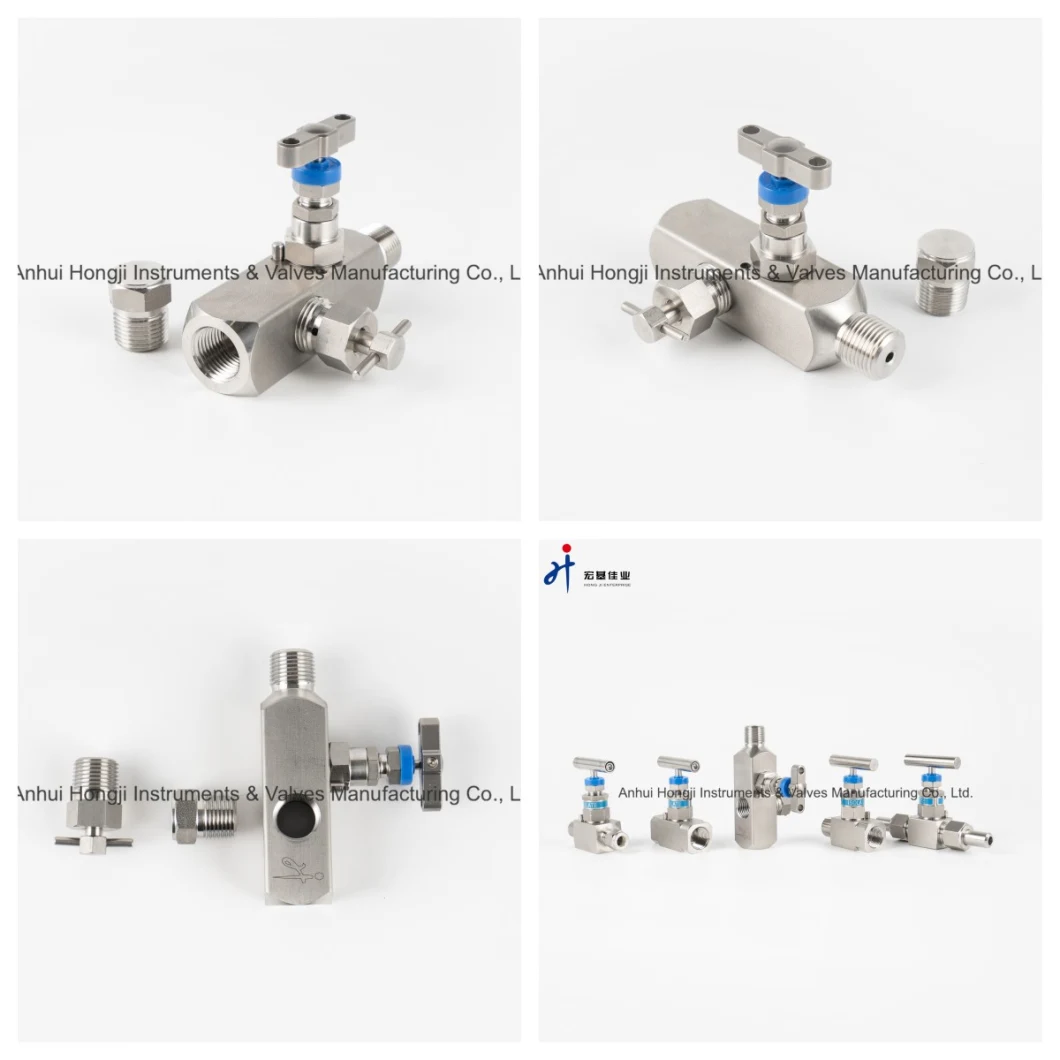 316 Stainless Steel Pressure Gague Valve