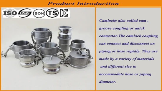ANSI B16.5/ASTM A105 DIN/GOST/BS Acier au carbone/ Q235 / Acier inoxydable FF RF Wn/So/Fileté/Plaque/Socket Bride forgée Chine