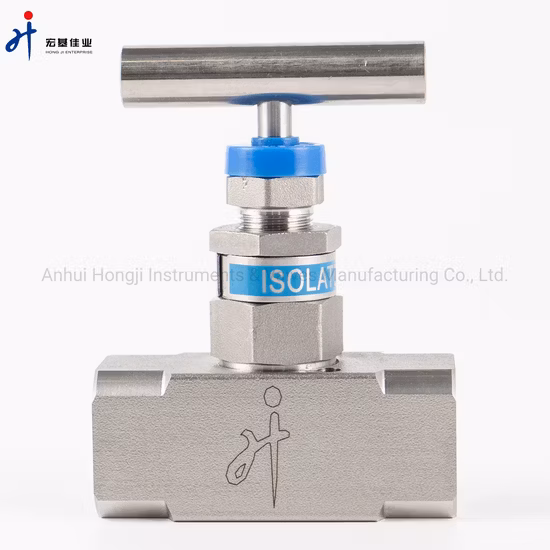 Vanne à pointeau à filetage femelle mâle ODM 6000psi en acier inoxydable SS304 SS316 NPT